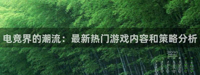 im电竞和泛亚电竞哪个好