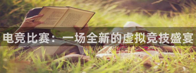 泛亚电竞平：电竞比赛：一场全新的虚拟竞技盛宴