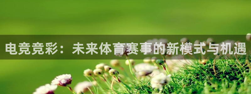 2021泛亚电竞网址