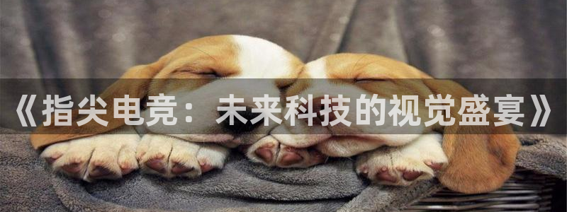 泛亚电竞对刷