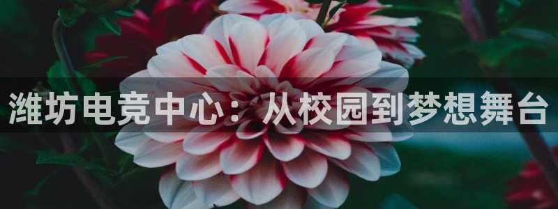 泛亚电竞综合