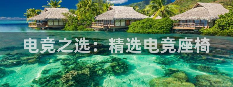 泛亚电竞平台官方最新版：电竞之选：精选电竞座椅