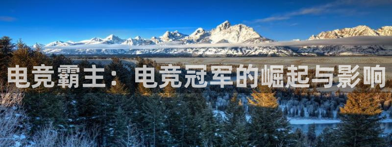 泛亚电竞平台手机版：电竞霸主：电竞冠军的崛起与影响