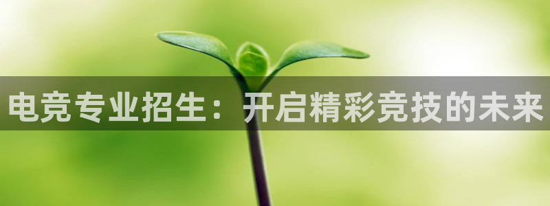 泛亚电竞和im电竞的区别：电竞专业招生：开启精彩竞技的未来
