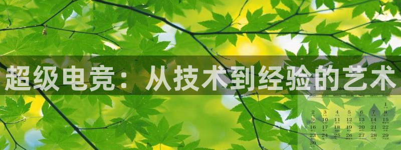 泛亚电竞最新版：超级电竞：从技术到经验的艺术