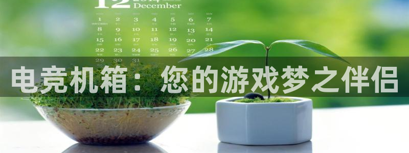泛亚电竞邀98db in：电竞机箱：您的游戏梦之伴侣