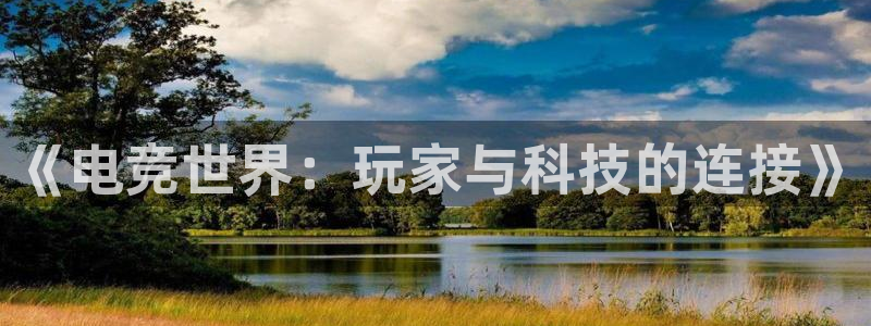 im电竞和泛亚电竞有什么区别：《电竞世界：玩家与科技的连接》